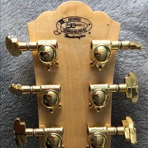 Washburn acoustic electric